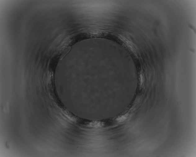 X0000091710225200709071420