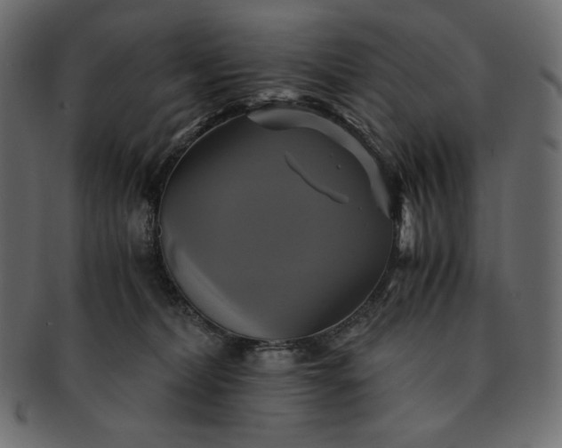 X0000091710228200709071420