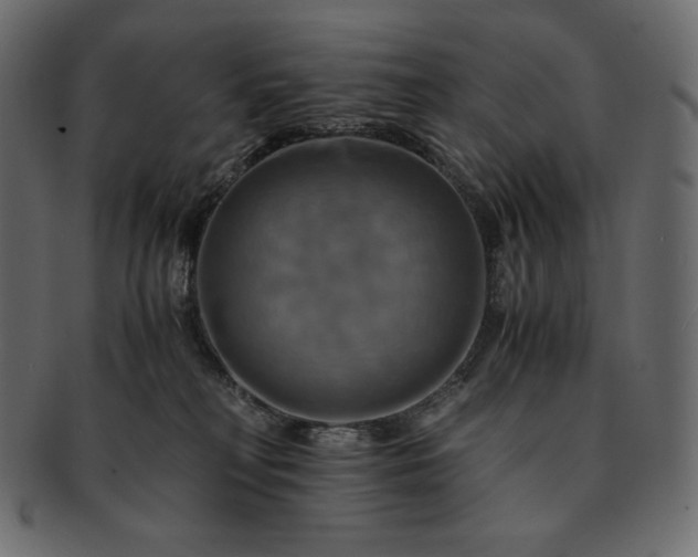 X0000091710230200709071420