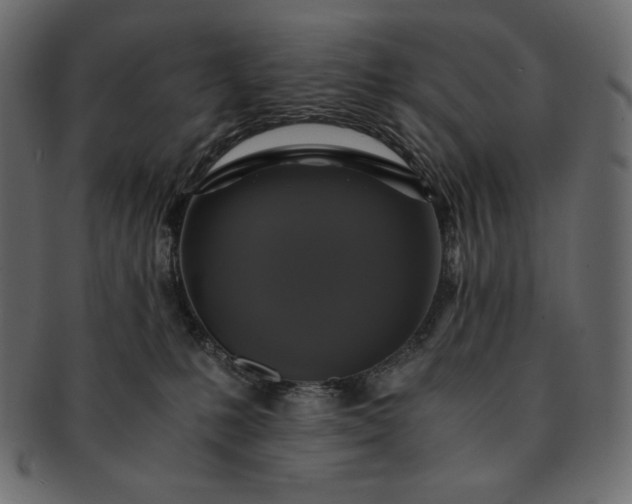 X0000091710231200709071419