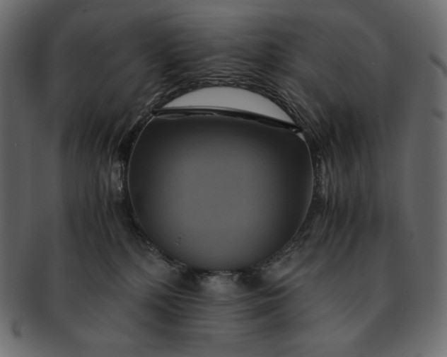 X0000091710232200709071419