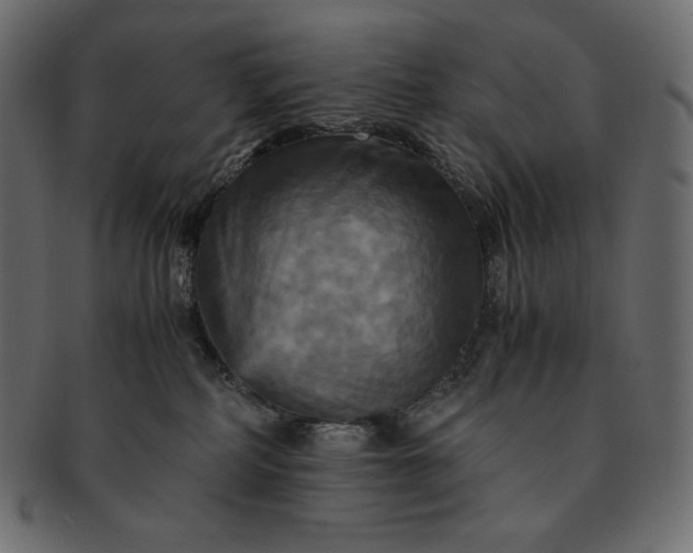 X0000091710234200709071419