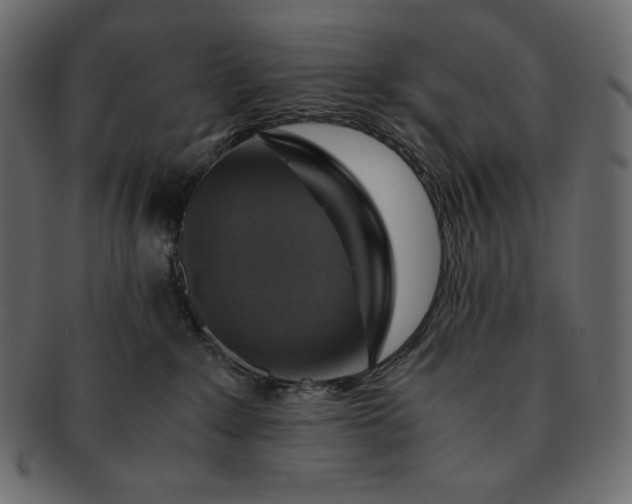 X0000091710235200709071419