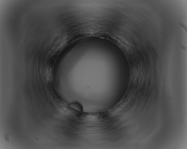 X0000091710236200709071419