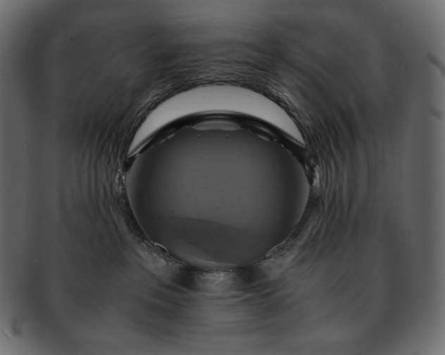 X0000091710237200709071419