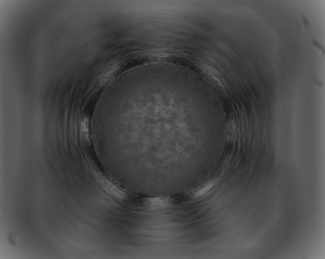 X0000091710238200709071419