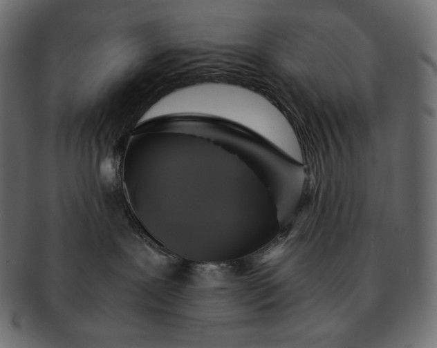 X0000091710239200709071419