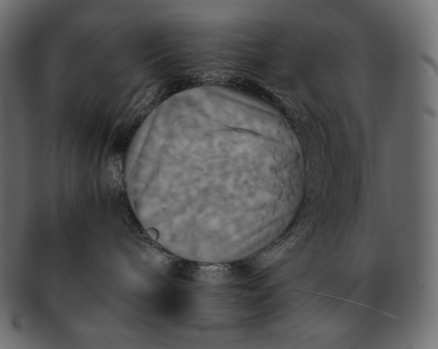 X0000091710240200709071419