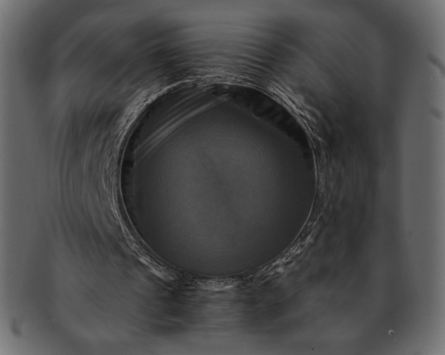 X0000091710241200709071419