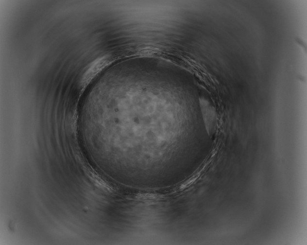 X0000091710242200709071419