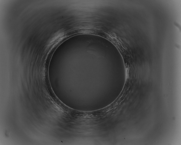 X0000091710243200709071419