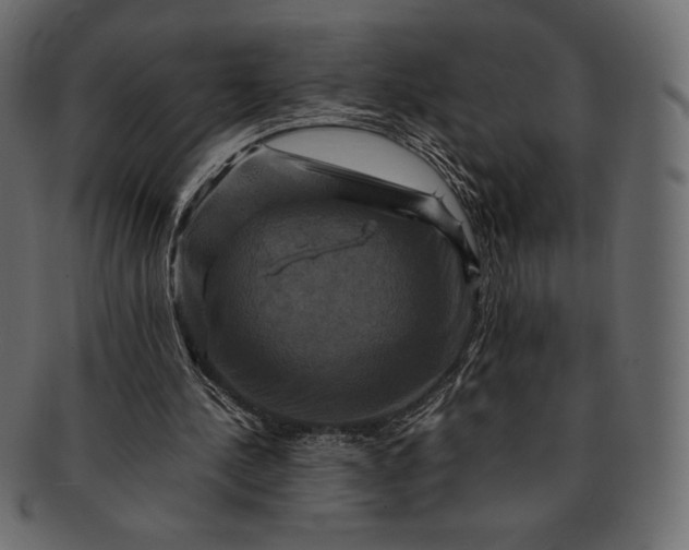 X0000091710244200709071419