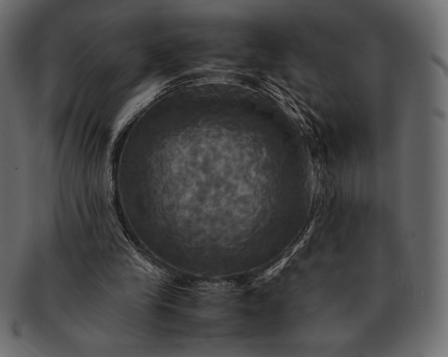 X0000091710245200709071419