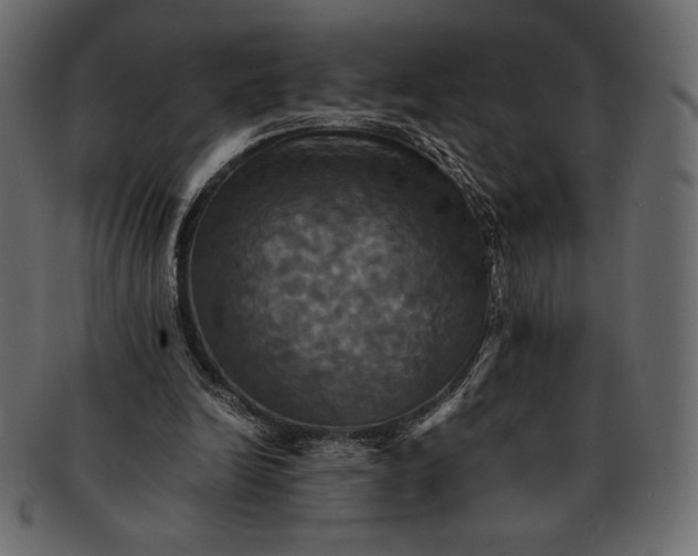 X0000091710246200709071419