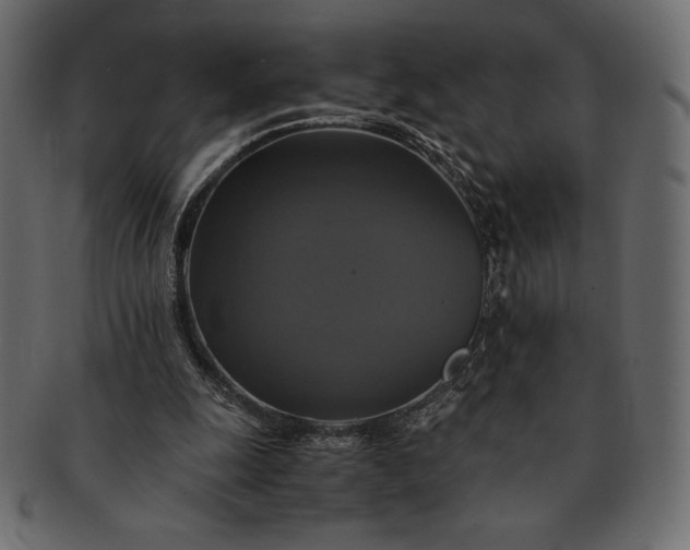 X0000091710247200709071419