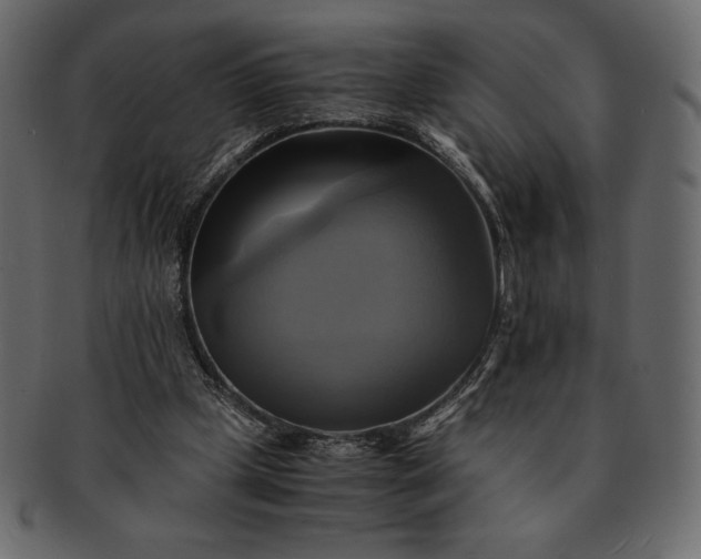 X0000091710249200709071419