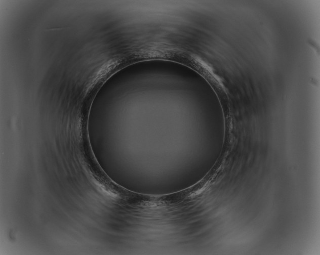 X0000091710250200709071419