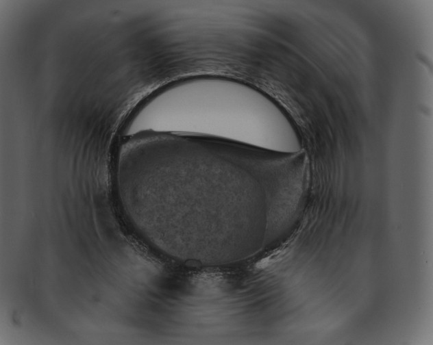 X0000091710252200709071419