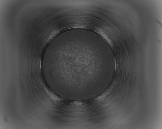 X0000091710253200709071419