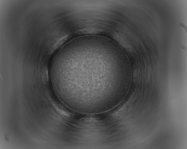 X0000091710254200709071419