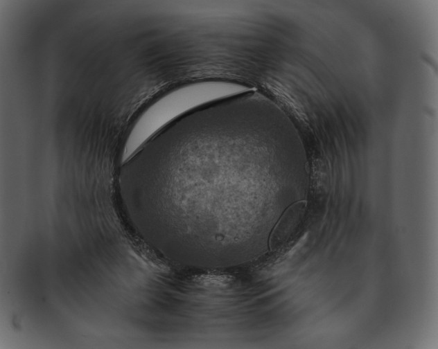 X0000091710255200709071419