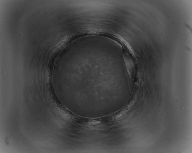 X0000091710257200709071419