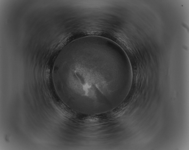 X0000091710263200709071419