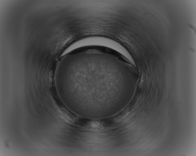 X0000091710264200709071419