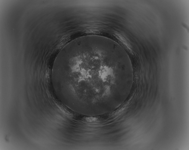 X0000091710265200709071419