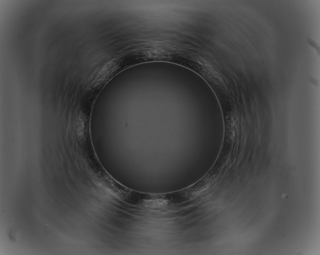 X0000091710266200709071419