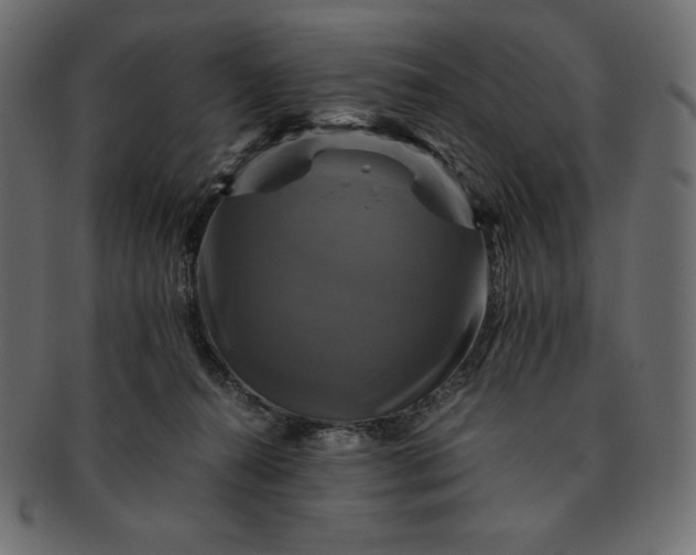 X0000091710272200709071419