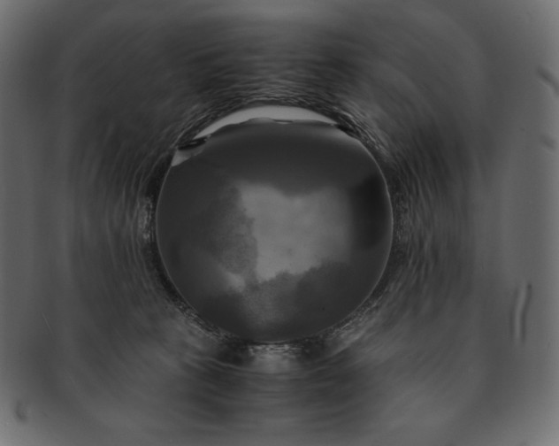 X0000091710273200709071419