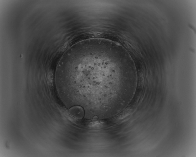 X0000091710274200709071419