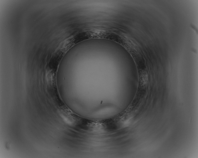 X0000091710276200709071419