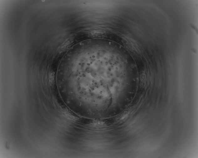 X0000091710278200709071419