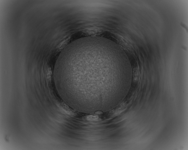 X0000091710279200709071419