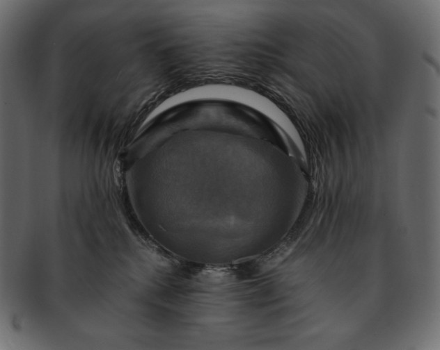 X0000091710280200709071419