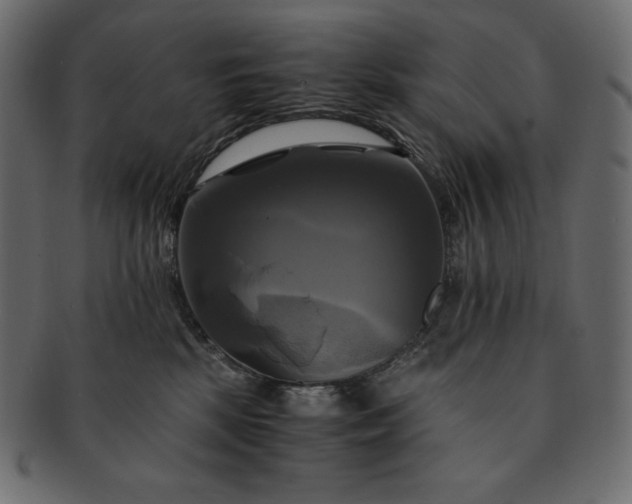 X0000091710281200709071419