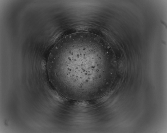 X0000091710282200709071419