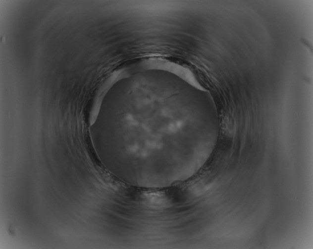 X0000091710283200709071419