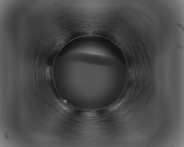 X0000091710286200709071419