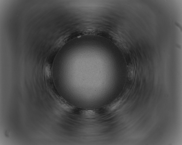 X0000091710287200709071419