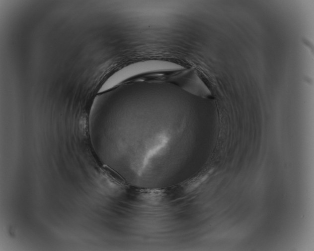 X0000091710288200709071419