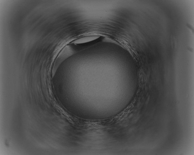 X0000091710289200709071419