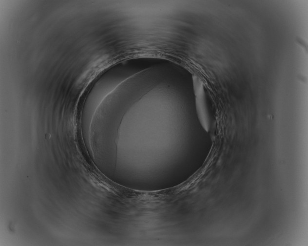 X0000091710290200709071419