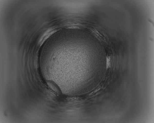 X0000091710291200709071418