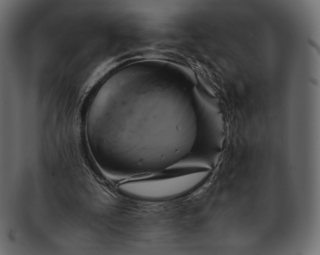 X0000091710295200709071418