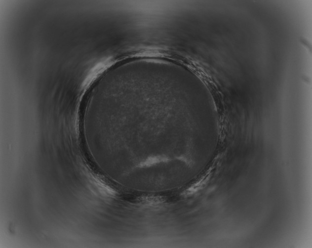 X0000091710296200709071418