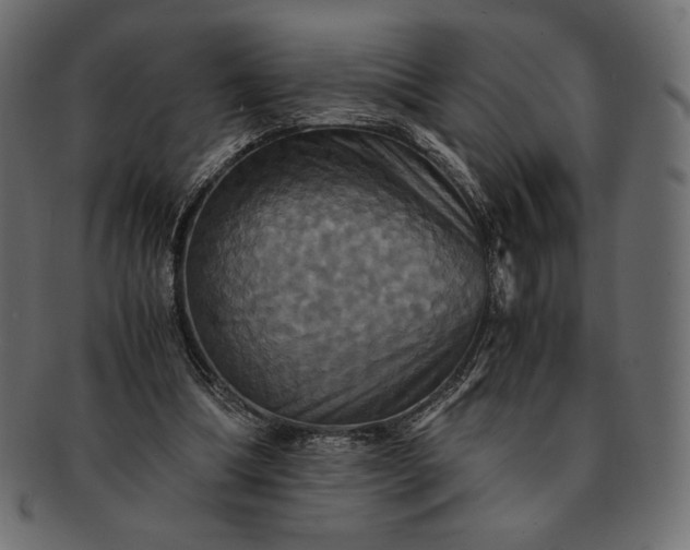 X0000091710298200709071418