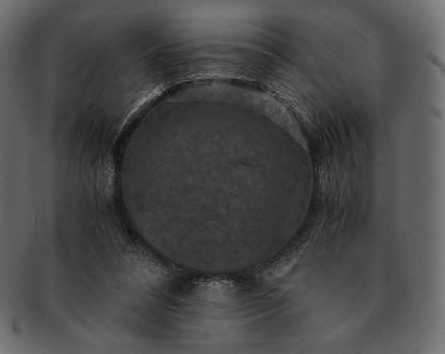 X0000091710304200709071418